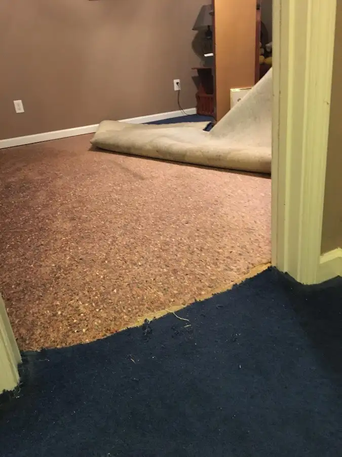 Carpet pad removal revealing water damage during Drying & Dehumidification in Lake Butler