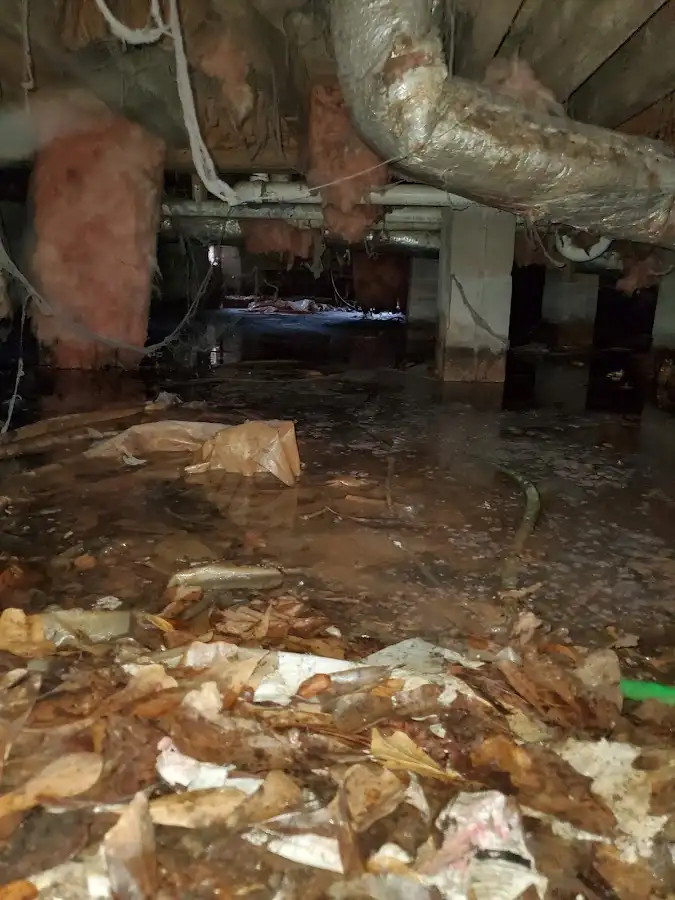 Crawl space flood assessment for Leak Detection & Repair in Lake Butler